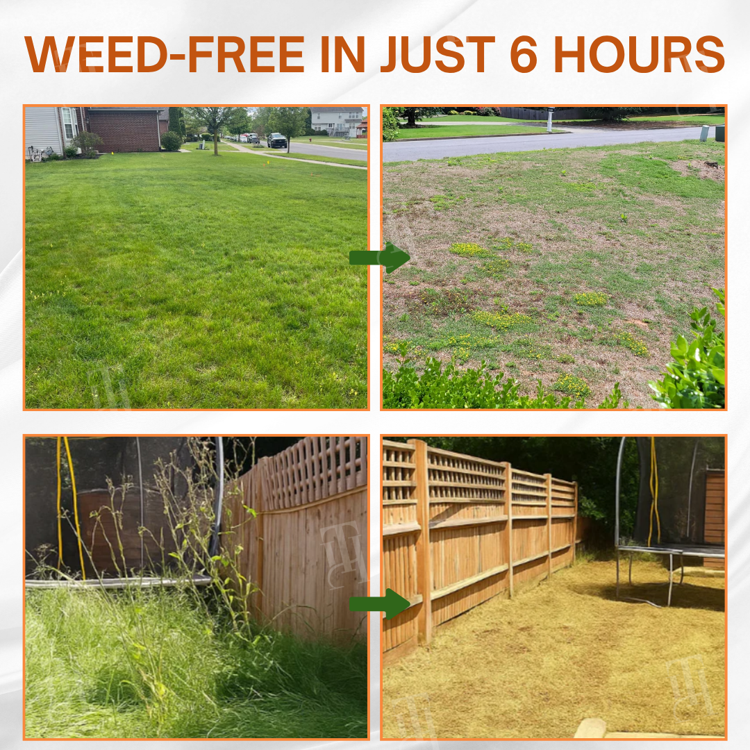 ✨ From Weed Jungle to Perfect Lawn! | ⏱️ Watch Weeds Wither in 6 Hours!  |Juxek® 2-in-1 Max Power Herbicide (100% Glyphosate-Free)