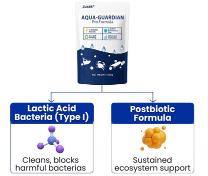 ✨ From Green to Clean Overnight! |⏱️ Crystal Clear in 24 Hours! | Juxek® Aqua-Guardian Pro Formula
