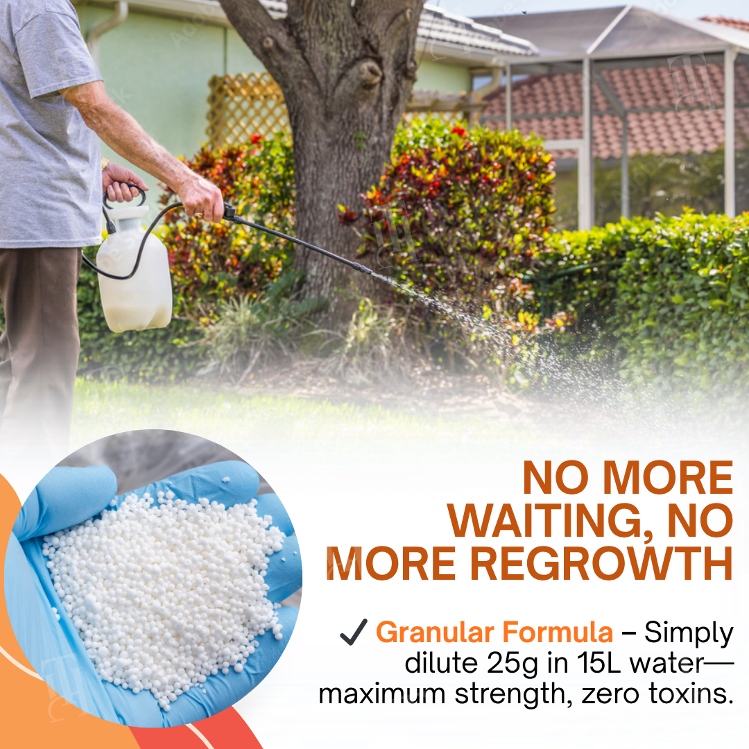 ✨ From Weed Jungle to Perfect Lawn! | ⏱️ Watch Weeds Wither in 6 Hours!  |Juxek® 2-in-1 Max Power Herbicide (100% Glyphosate-Free)