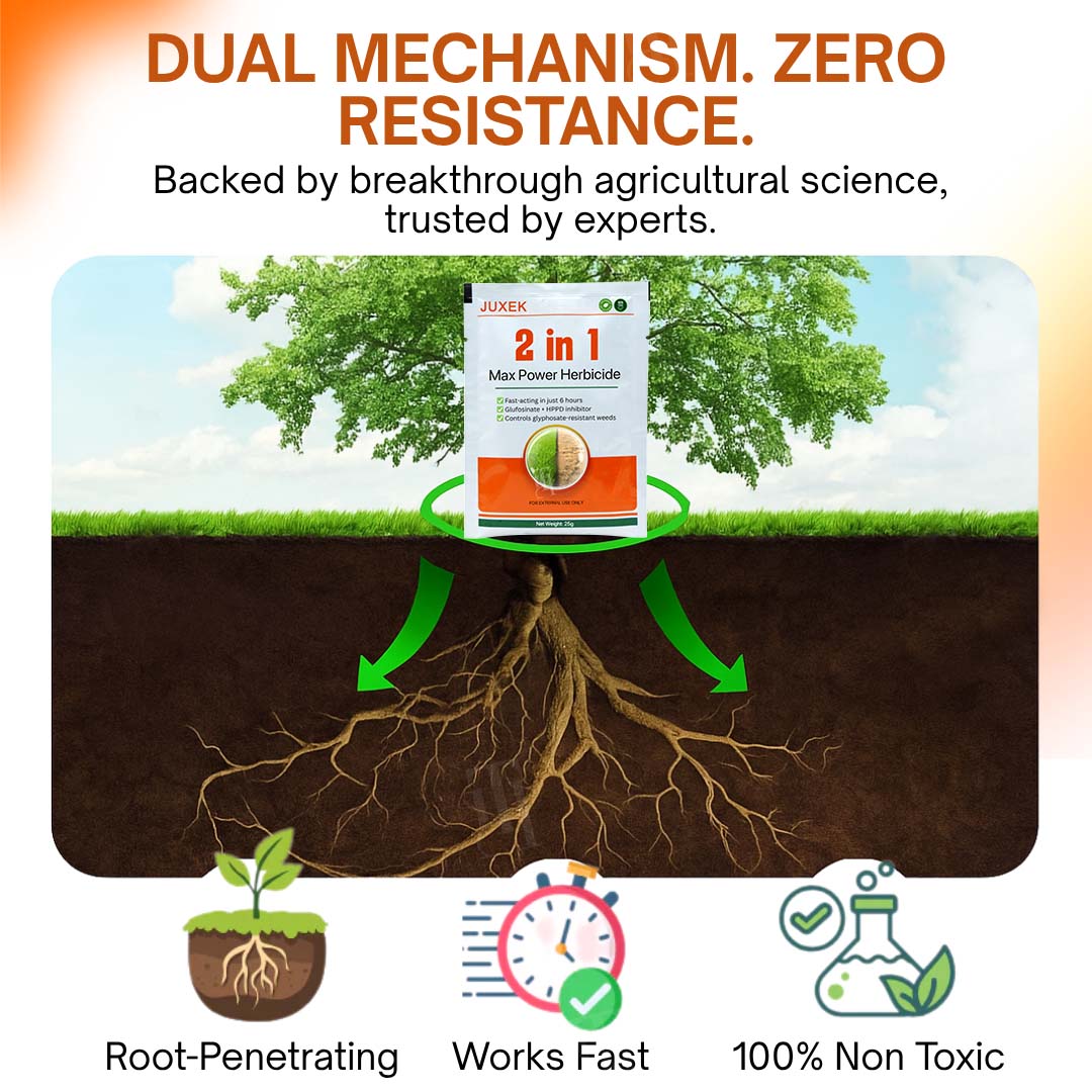 ✨ From Weed Jungle to Perfect Lawn! | ⏱️ Watch Weeds Wither in 6 Hours!  |Juxek® 2-in-1 Max Power Herbicide (100% Glyphosate-Free)