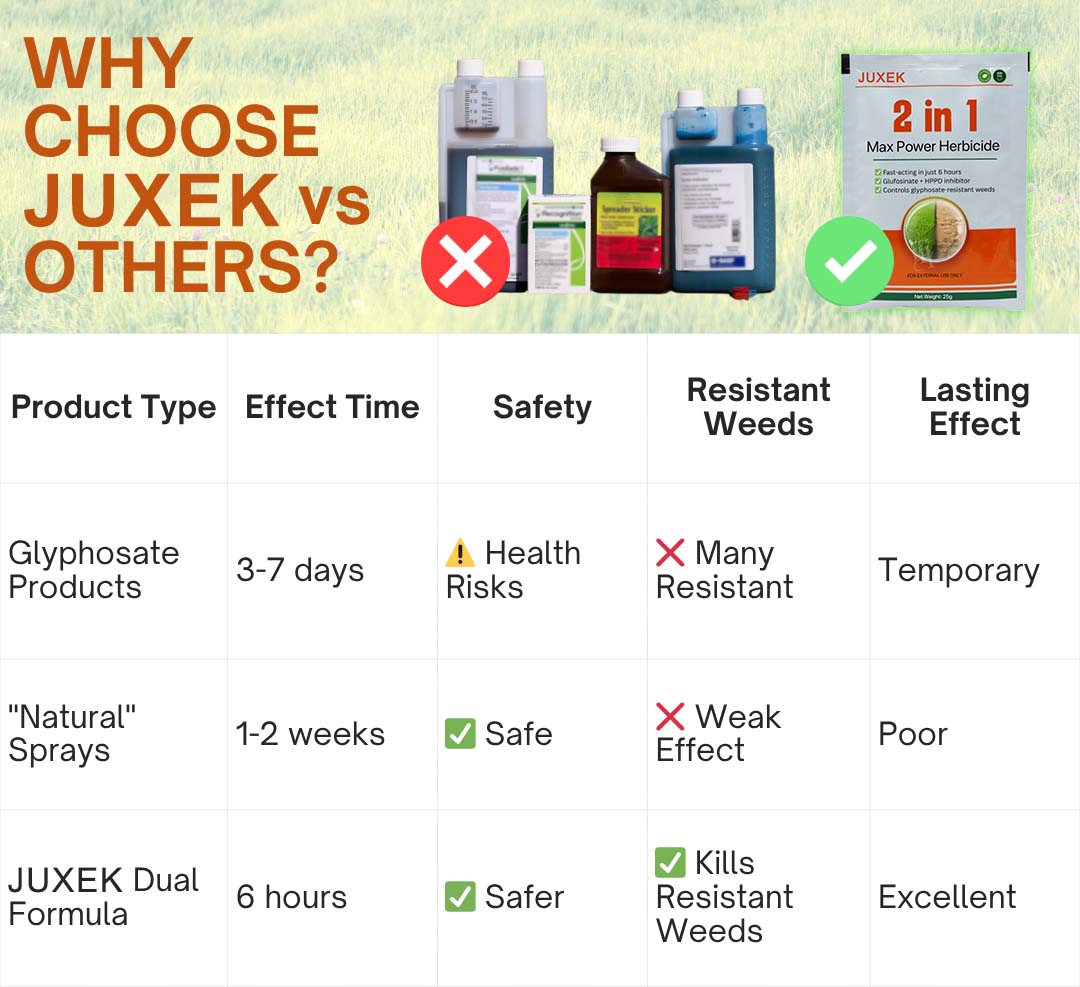 ✨ From Weed Jungle to Perfect Lawn! | ⏱️ Watch Weeds Wither in 6 Hours!  |Juxek® 2-in-1 Max Power Herbicide (100% Glyphosate-Free)